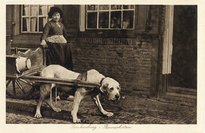 8960 Afbeelding van een meisje in klederdracht met een hondenkar in een straat te Spakenburg (gemeente Bunschoten).